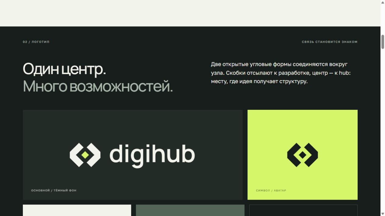 Правила фирменного знака в исходном брендбуке DigiHub